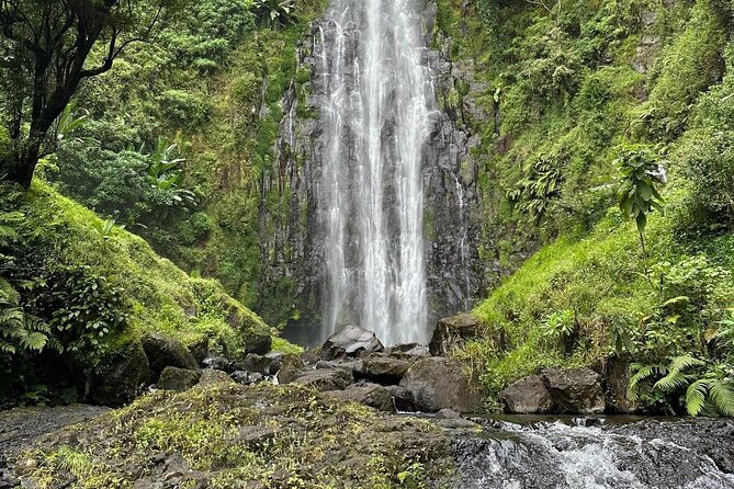 Materuni Waterfall and Coffee Plantation Half Day Tour - Coffee plantation time: you do the work, then you drink it
