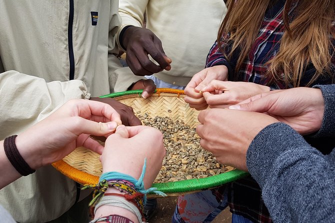 Materuni Waterfall and Coffee tour, Tanzania - Pickup in Moshi, then a smooth start you can actually plan around