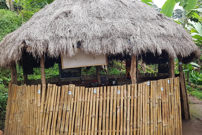 Materuni Waterfall and Coffee tour, Tanzania - Price and value: what $120 per person is really paying for
