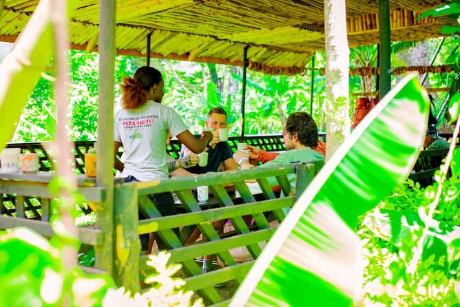 Materuni Waterfall and Kikuletwa Hot Spring Tour - Coffee tour and banana beer lunch: more than a caffeine stop