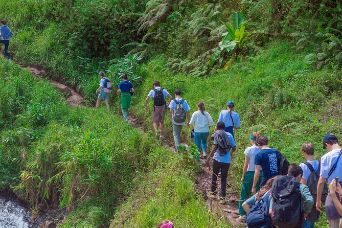 Materuni Waterfall and Kikuletwa Hot Spring Tour - How the 6 to 8 hours usually play out from Moshi and Arusha