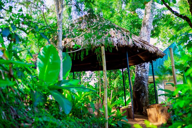 Materuni Waterfall and Kikuletwa Hot Spring Tour - The guides and the pacing, what makes the day feel smooth