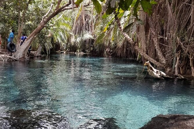 Materuni Waterfall and Kikuletwa Hot Spring Tour - Should you book Kisambi Tours for Materuni and Kikuletwa?