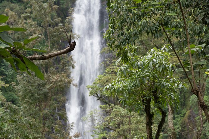 Materuni Waterfall and Kikuletwa Hot Spring Tour - FAQ