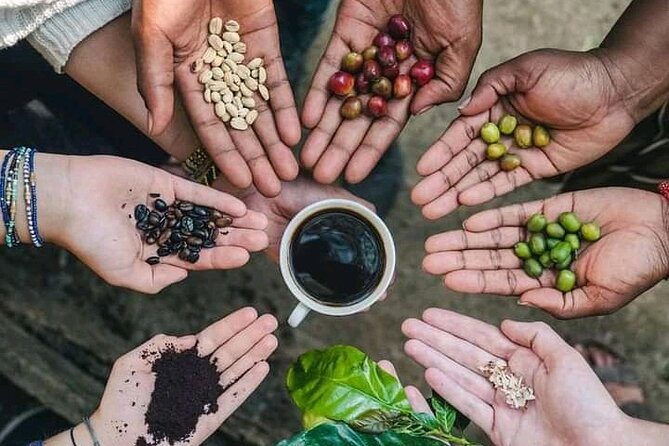 Materuni Waterfall Coffee Tour and Chemka Hot Springs Experience - Quick hits on this Materuni and Chemka day