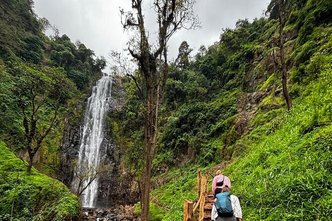 Materuni Waterfall Coffee Tour and Chemka Hot Springs Experience - Lunch and Chagga dance: how the culture fits after the hike