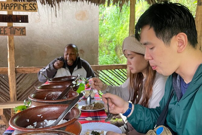 Materuni Waterfall Coffee Tour and Chemka Hot Springs Experience - Price and logistics: what $80 gets you, and who it fits