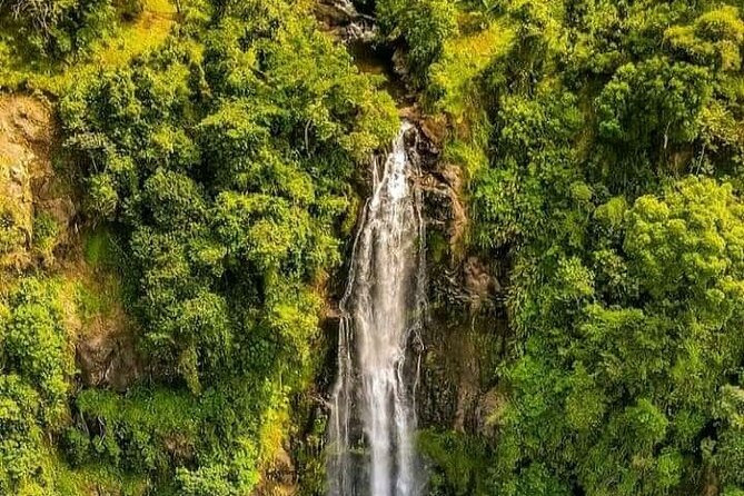 Materuni Waterfall Coffee Tour and Chemka Hot Springs Experience - The Chagga coffee farm: why this part is the real value