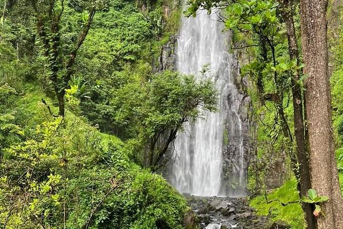 Materuni waterfall , coffee tour and hotsprings (chemka ) - Key highlights at a glance