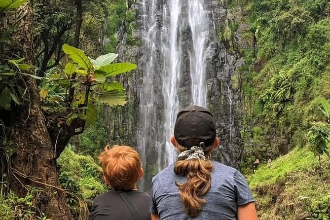 Materuni waterfall , coffee tour and hotsprings (chemka ) - 08:00 Pickup and the Drive Into Materuni Country