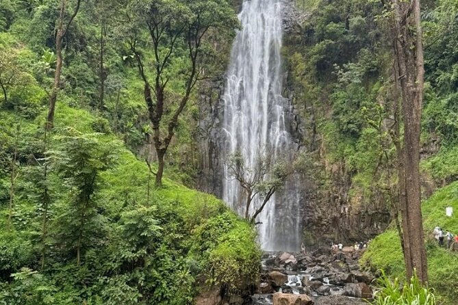 Materuni waterfall , coffee tour and hotsprings (chemka ) - Moshi Town Stop: Market, Clock Tower, and the Old Railway Station