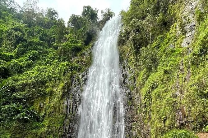 Materuni waterfall , coffee tour and hotsprings (chemka ) - The Materuni Rainforest Hike: Photos, Breathing Room, and a Swim