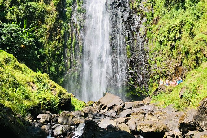 Materuni Waterfall, Coffee Tour and Picnic Hot Lunch - Moshi to Materuni Village: the day starts with easy pickup