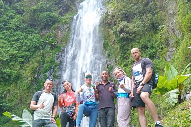 Materuni Waterfall, Coffee Tour and Picnic Hot Lunch - Value check: why $70 can actually make sense here