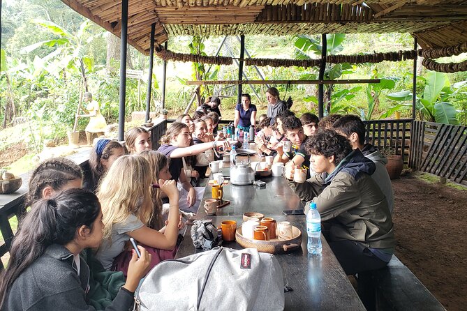 Materuni Waterfall, Coffee Tour and Picnic Hot Lunch - Practical tips so your day goes smoothly