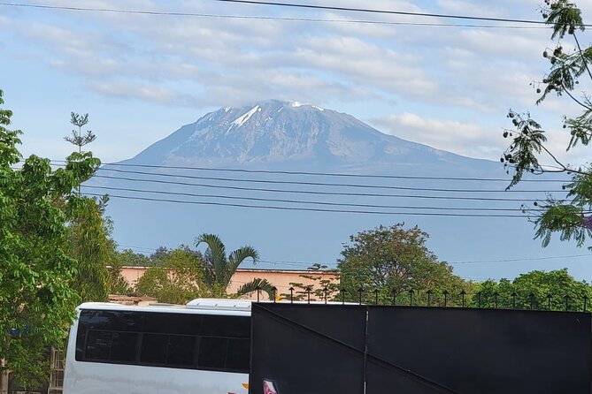 Materuni waterfall - coffee tour OR Chemka hot spring Tour - Starting in Moshi: The Real Shape of This Day