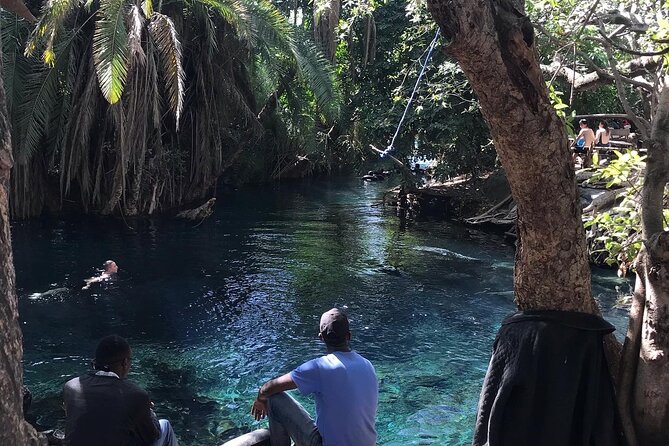 Materuni waterfall - coffee tour OR Chemka hot spring Tour - What You’re Really Paying For: Value at $70
