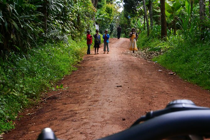 Materuni Waterfall E-Bike Day Trip - Price and value: what $140 actually buys you