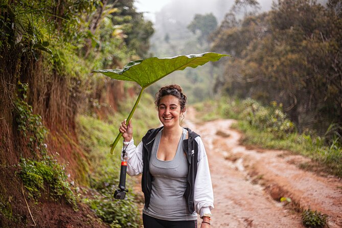 Materuni Waterfall E-Bike Day Trip - The uphill ride: how the E-bike changes the day