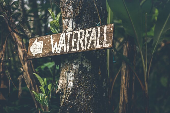 Materuni Waterfall Hike & Coffee Tour - Key things to know before you go