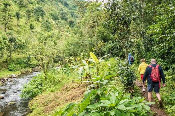 Materuni Waterfall Hike & Coffee Tour - Pickup, the drive out, and how the day stays organized