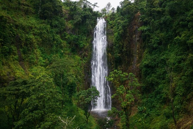 Materuni Waterfall Hike & Coffee Tour - Price and value: why $260 can make sense here