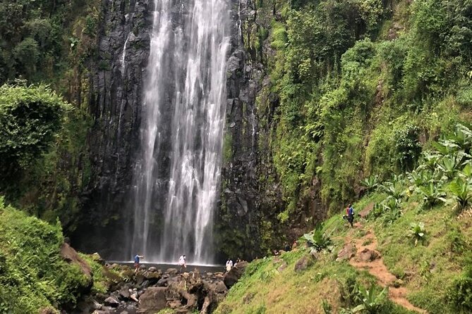 Materuni Waterfall Hike & Coffee Tour - Who should book this Materuni tour, and who might prefer a different plan
