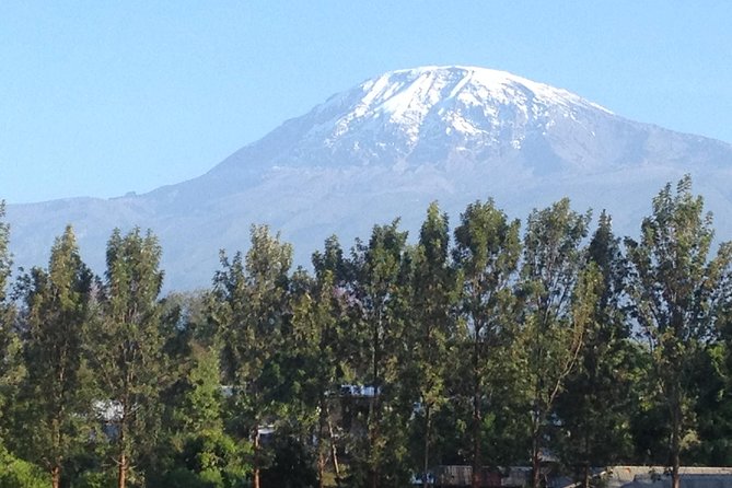 Materuni waterfalls and coffee Tour - Why Materuni Waterfalls and Coffee Works So Well Together