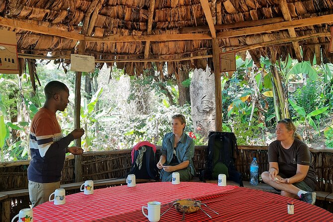 Materuni waterfalls and coffee Tour - Chagga People Insights From the Slopes of Kilimanjaro