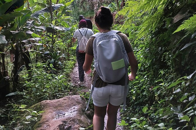 Materuni Waterfalls and Coffee Tour in Moshi - Materuni Village, Kilimanjaro’s foothills, and why this day works