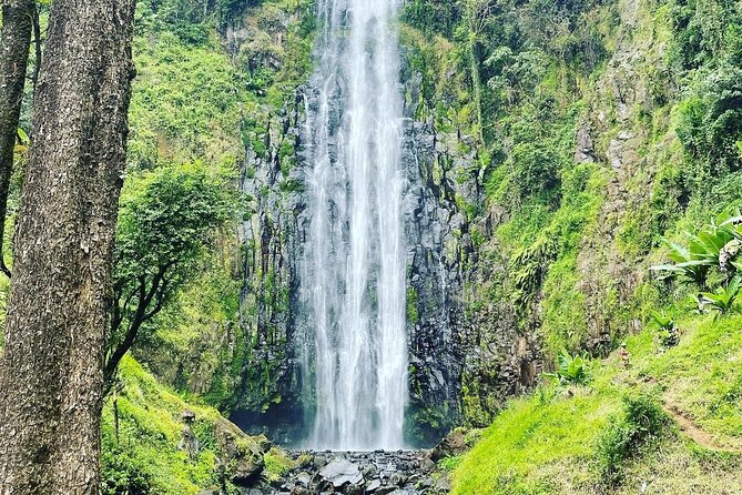 Materuni Waterfalls and Coffee Tour in Moshi - The Materuni Falls hike: views, culture talk, and smart pacing