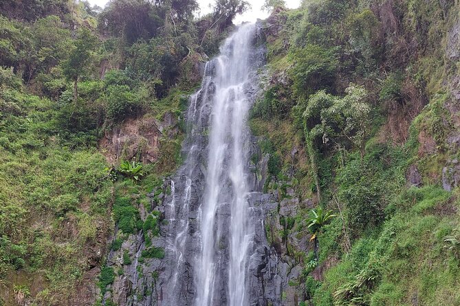 Materuni Waterfalls and Coffee Tour in Moshi - Banana wine or beer tasting: a quick detour with local flavor