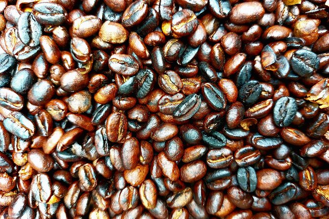 Materuni Waterfalls and Coffee Tour in Moshi - Lunch in the village: what you get and why it matters
