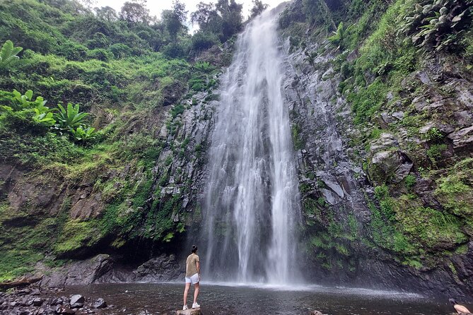Materuni Waterfalls and Coffee Tour in Moshi - Getting from Moshi: pickup, scenic drive, and starting right