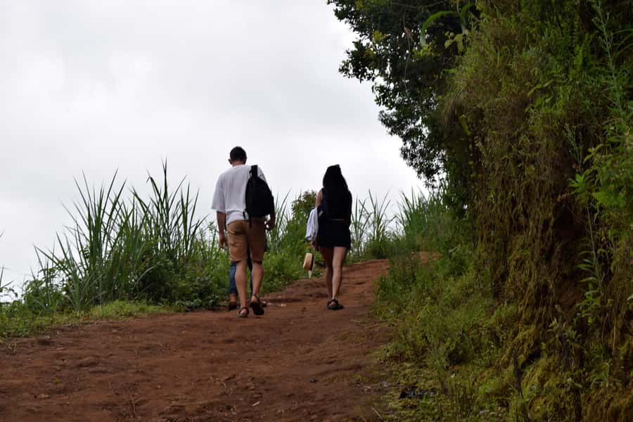 Materuni Waterfalls, Chemka Hot Springs, &/Or Coffee Tour - Key Highlights You Should Aim For
