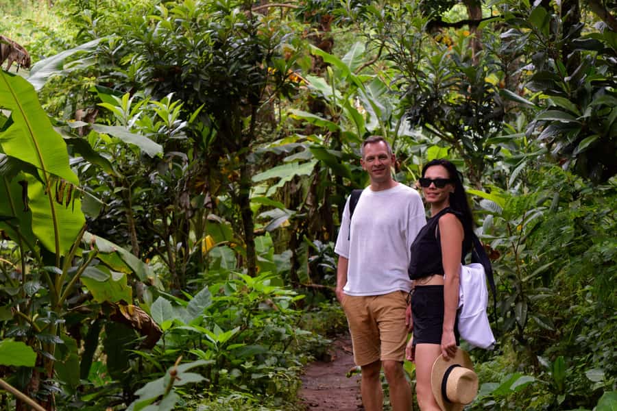 Materuni Waterfalls, Chemka Hot Springs, &/Or Coffee Tour - Swimming Under Materuni Falls, and Why Shoes Matter