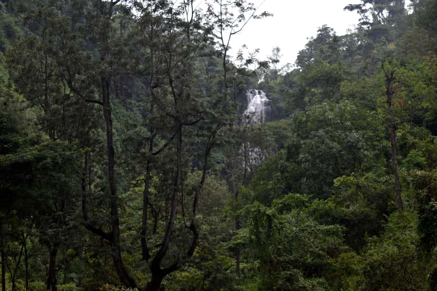 Materuni Waterfalls, Chemka Hot Springs, &/Or Coffee Tour - Coffee Tour at Materuni Plantation: Picking, Roasting, Grinding, Brewing