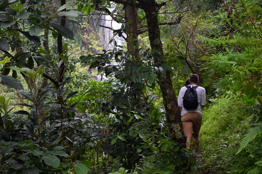 Materuni Waterfalls, Chemka Hot Springs, &/Or Coffee Tour - Finding the Hidden Chemka Waterfall for Extra Photos and Fun