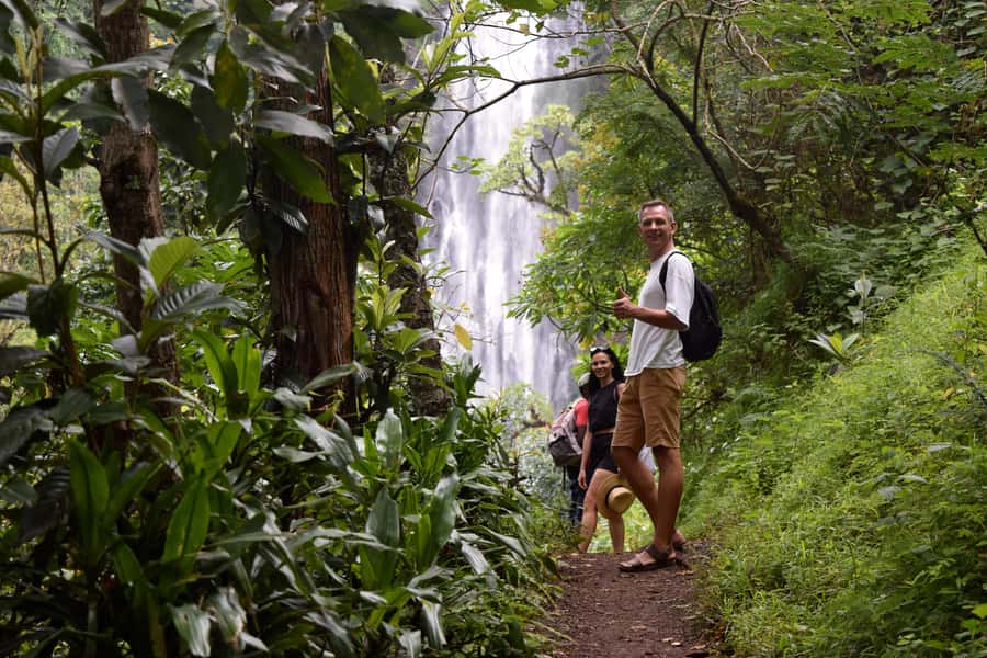 Materuni Waterfalls, Chemka Hot Springs, &/Or Coffee Tour - Guide Quality and How the Day Stays Smooth