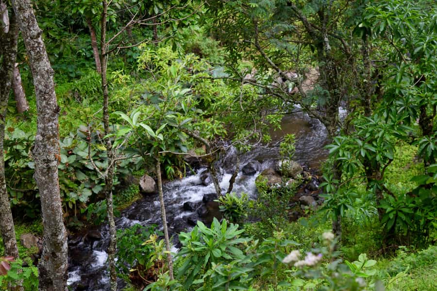 Materuni Waterfalls, Chemka Hot Springs, &/Or Coffee Tour - Price and Value: Why $70 Can Be a Good Deal Here