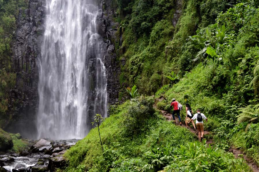 Materuni Waterfalls, Chemka Hot Springs, &/Or Coffee Tour - Materuni Village Walk and the 1.5-Hour Hike to Materuni Falls
