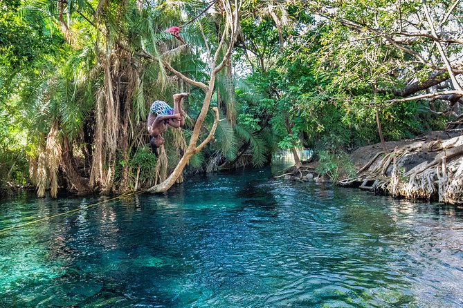 MATERUNI waterfalls, coffe tour & kikuletwa hotsprings - Key takeaways