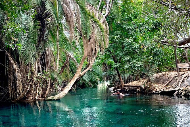 MATERUNI waterfalls, coffe tour & kikuletwa hotsprings - Arusha, three highlights in one 9 hour private day