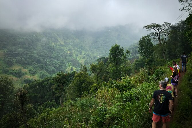 MATERUNI waterfalls, coffe tour & kikuletwa hotsprings - Time, pickup, and pacing: how the day actually feels