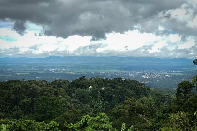 MATERUNI waterfalls, coffe tour & kikuletwa hotsprings - Price and value: what $150 per person really buys