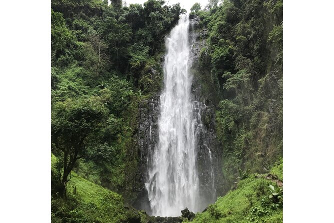 MATERUNI waterfalls, coffe tour & kikuletwa hotsprings - Who this Materuni and Kikuletwa combo is best for