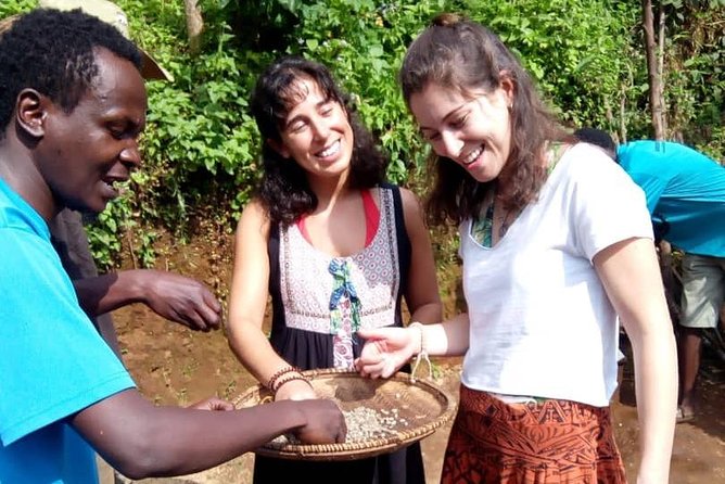 Materuni Waterfalls & Coffee making Cultural Tour | BURIGI CHATO SAFARIS LTD - Waterfall Time: Views of Moshi Town and Kibo