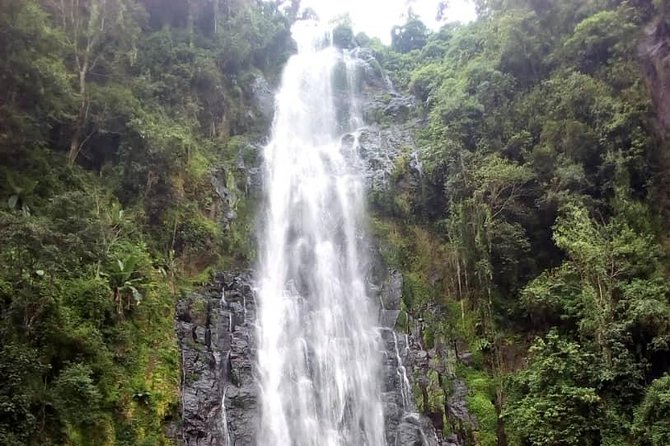 Materuni Waterfalls & Coffee making Cultural Tour | BURIGI CHATO SAFARIS LTD - Materuni Coffee Village: Chagga Tree-to-Cup Lessons