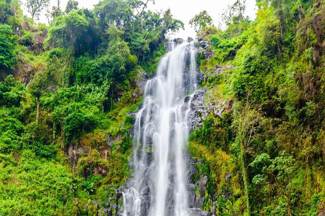 Materuni Waterfalls & Coffee Tour - Key highlights you will care about
