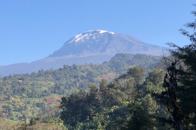Materuni Waterfalls & Coffee Tour - Private guide value: why your day feels smoother